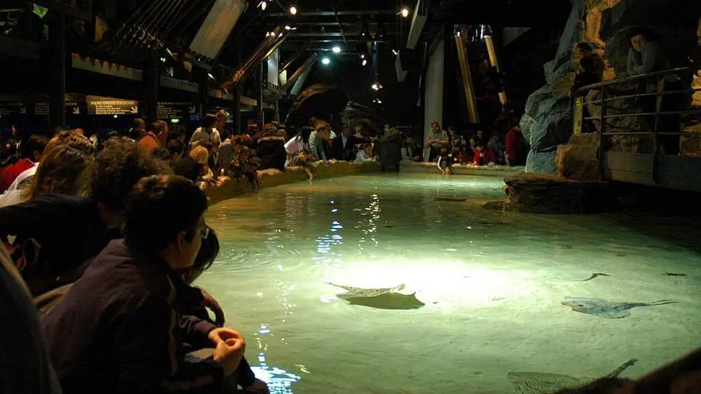 Akvárium v ​​Janově (Acquario di Genova)