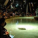 Akvárium v ​​Janově (Acquario di Genova)